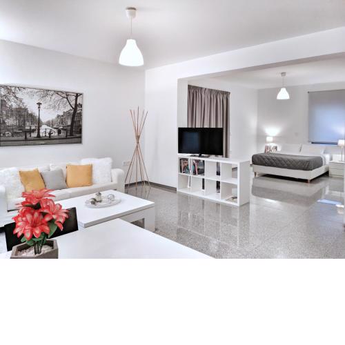 Brand new budget apartment next to Iaso and Oaka