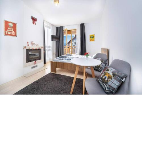 Bright Studio with Mountain view and fireplace