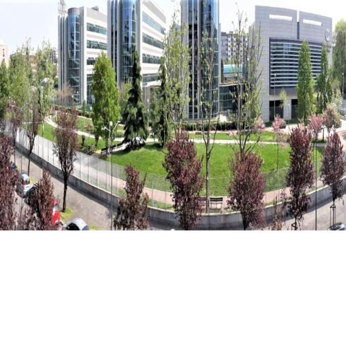 Bright two-room apartment overlooking the park