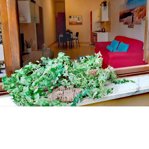 Brisa Marina apartment