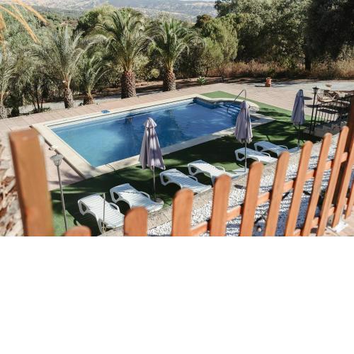 Brisas del Palmeral