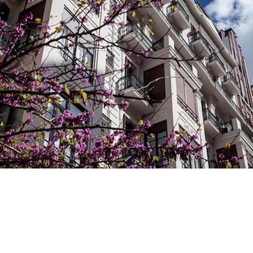 BUBUFLATS Ayuntamiento