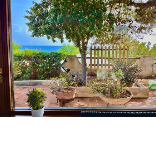 Bungalow Doriana