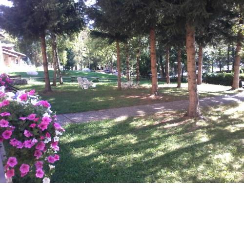 BUONAVACANZA IN MONTAGNA