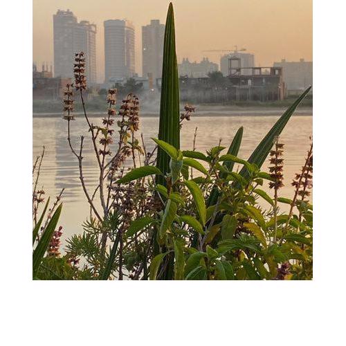 على النيل احصل على مكان إقامة قطعة من الجنة by the NileRiver, spend your holiday in a piece of heaven