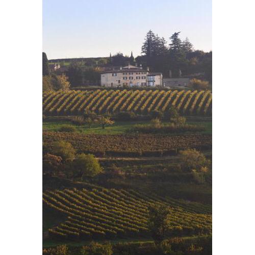 Ca' del Moro Wine Retreat