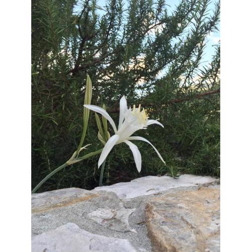 Ca' di Bianca