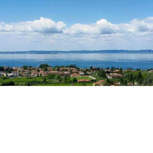 Cà Frisonai