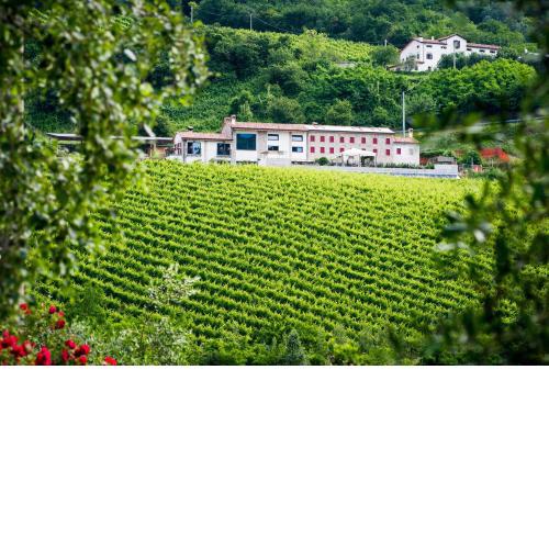 Ca' Piadera Wine Relais