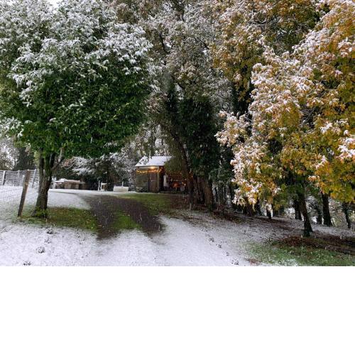 Cabaña - A Pastoriza - Lugo
