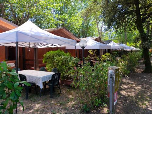 Cabana camp