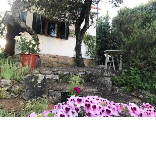 Cabaña en la naturaleza
