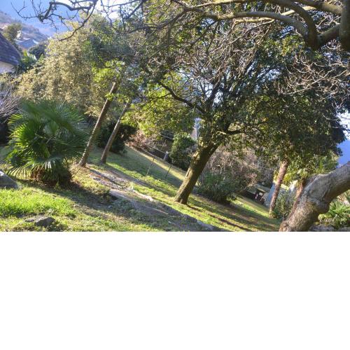 Cabianca