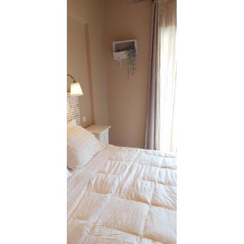 Cactus Mini Suites