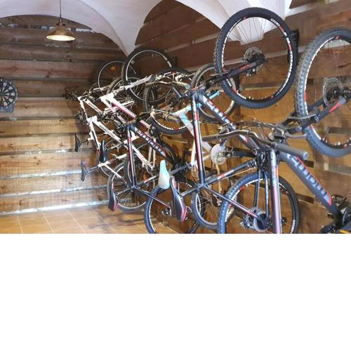 Cal Curpets - Bicicletas FREE