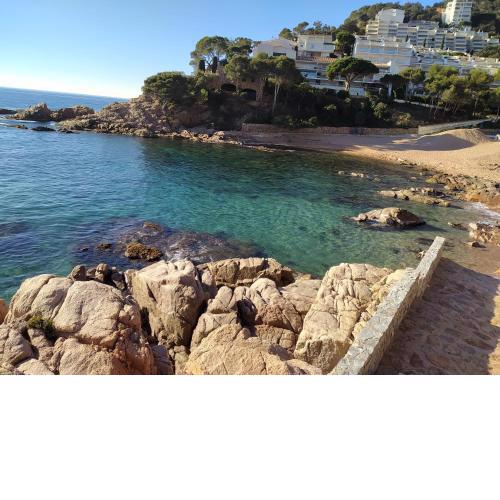 Cala Salions, Chalana III