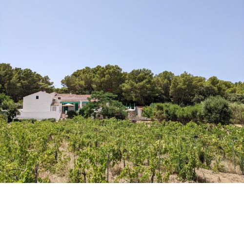 Cala Vinagra House