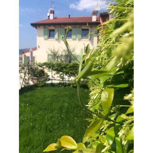 Calandrine Holiday Villa