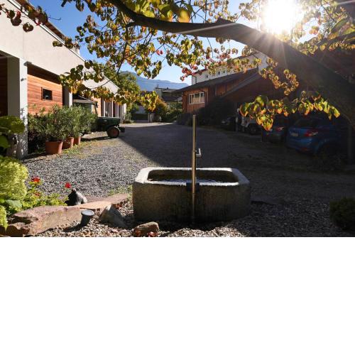 Callhof - Bio Obsthof