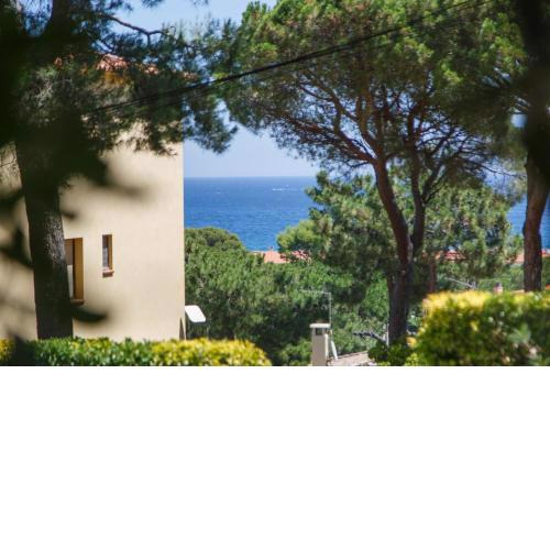 CALSINA BAX 2H