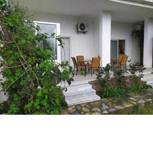 ÇAM KOKUSU