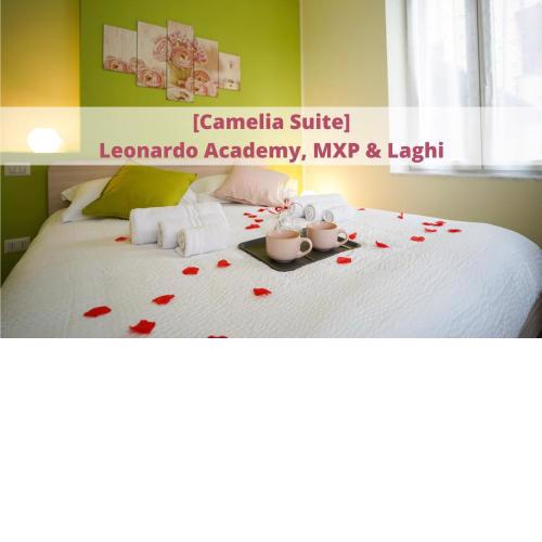 [Camelia Suite] Leonardo Academy, MXP & Lakes