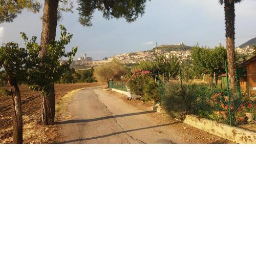 camere Rosignoli