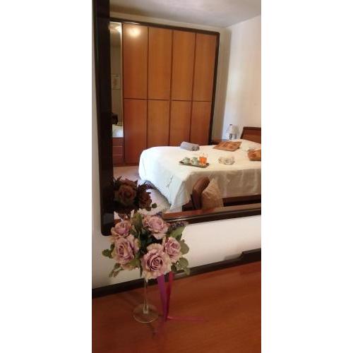 Camere Rosy