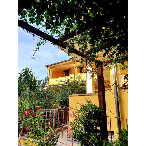 Camere Sinis Isprocilis