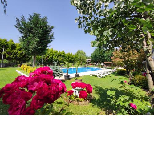 camlıbahce