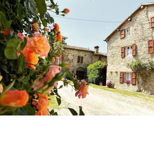 Cammino Nel Verde