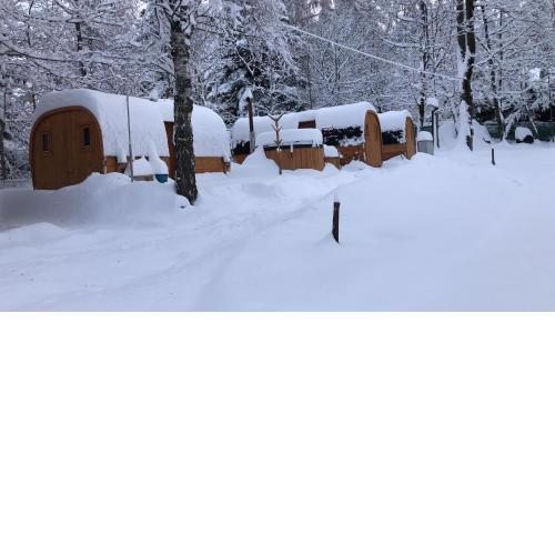 Campeggio il Bosco