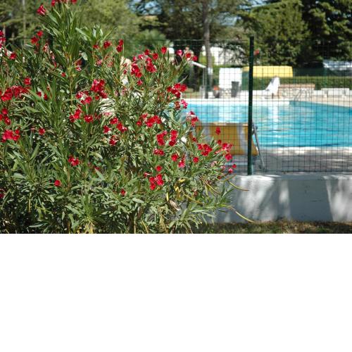 Camping Aquileia