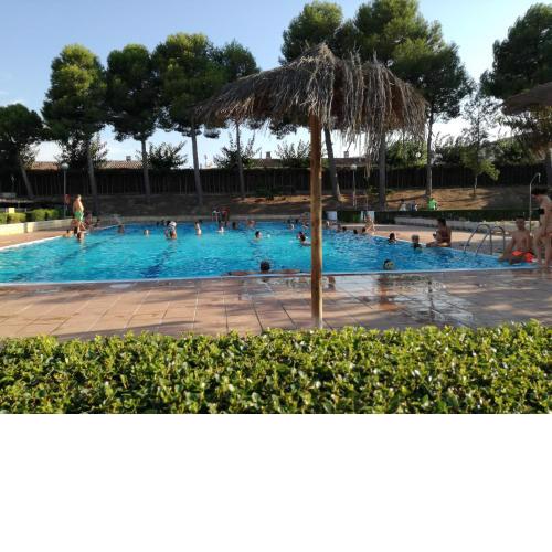 Camping Fayón Fishing