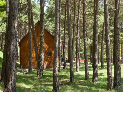 Camping Fontfreda