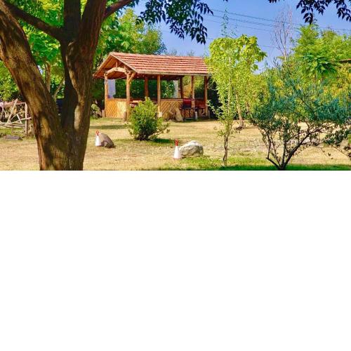 Camping Kromidovo