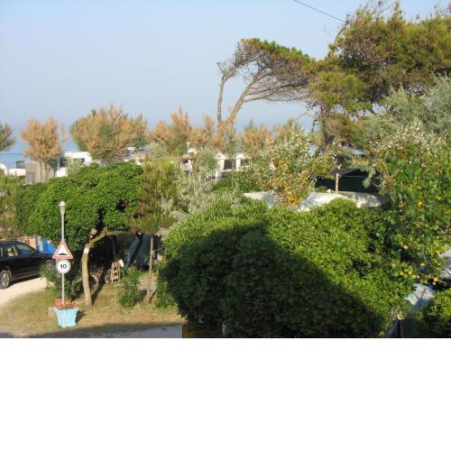 Camping La Pineta
