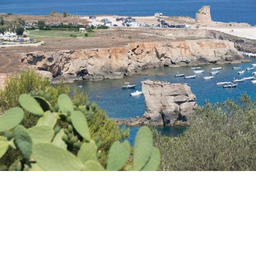 Camping La Scogliera
