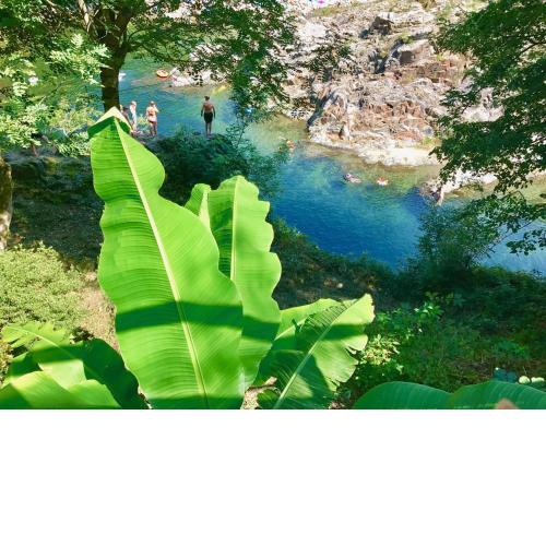 Camping & Resort Valle Romantica
