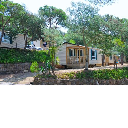 Camping Treumal