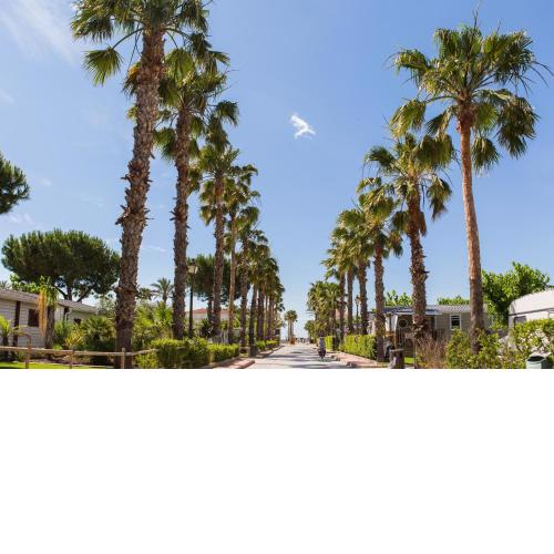Camping Vendrell Platja