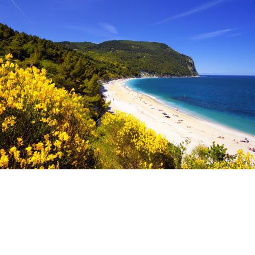 Camping Village Internazionale