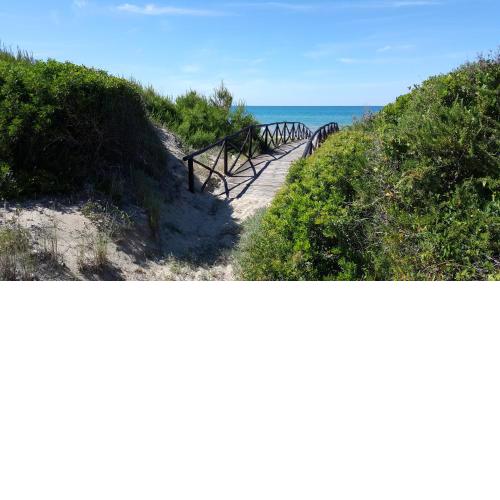Camping Villaggio Riviera