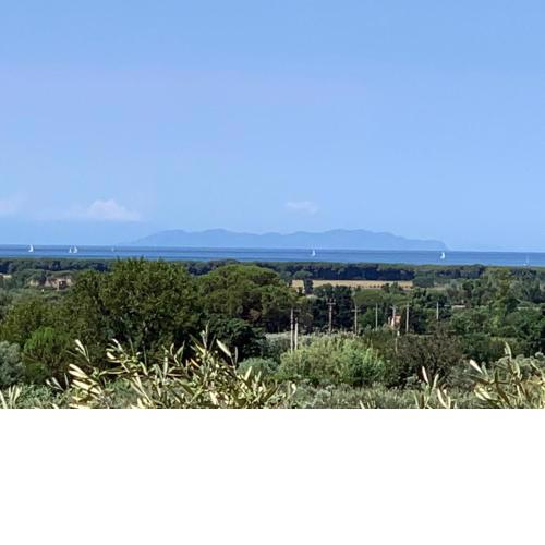 Campo alle More