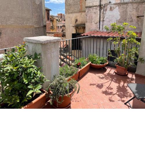 Campo de fiori Palace