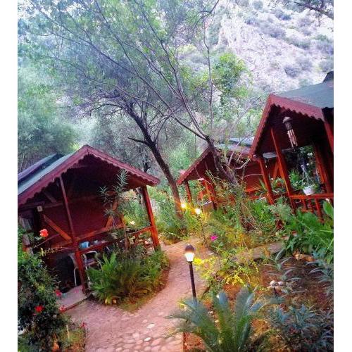 Canario Bungalows