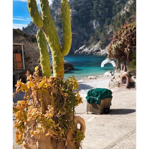 Capri magic house on the beach
