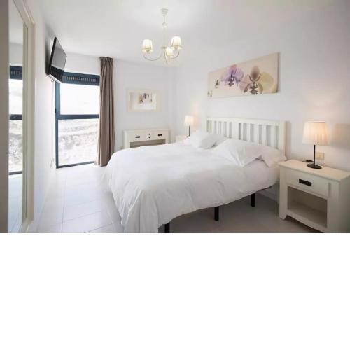 Cardon Big Calm 10