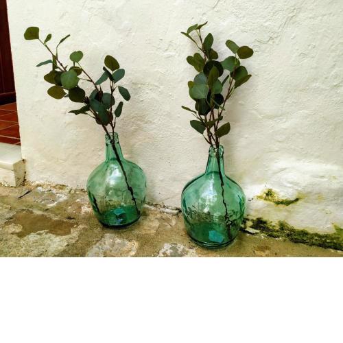 Carola GuestHouse