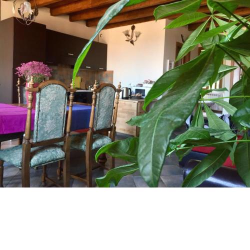 casa accogliente vista lago